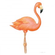 Flamingo Poster Gesamtansicht